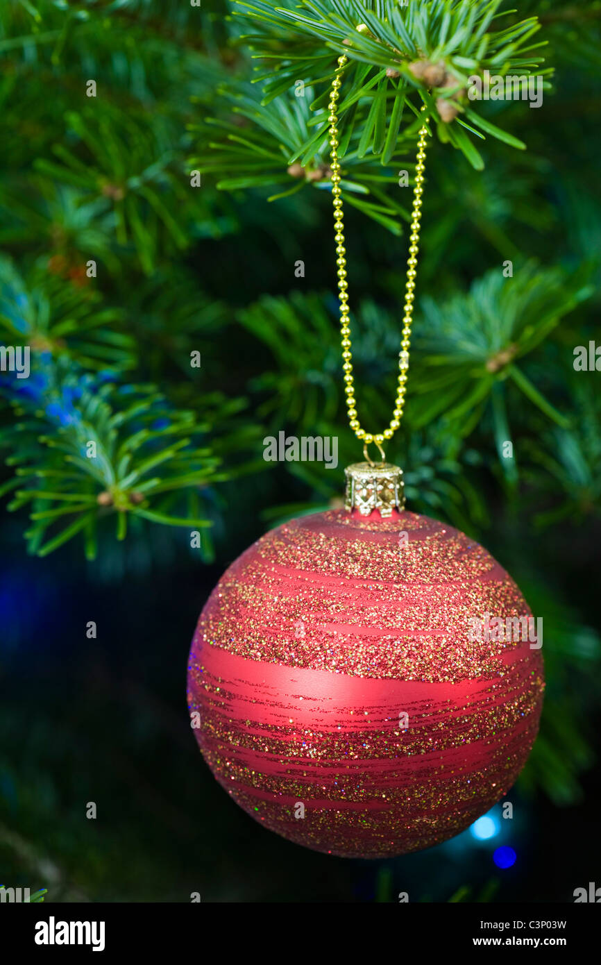 Rot und Gold Glas Christbaumkugel auf echten Weihnachtsbaum Zweig. Stockfoto