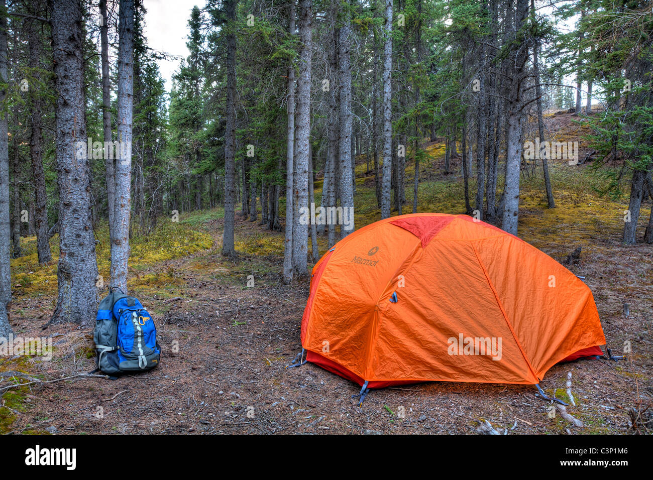 Camping auf dem McCarthy-Weg an der Kuskulana River Bridge in Wrangell-St.-Elias-Nationalpark und Reservat, Alaska Stockfoto