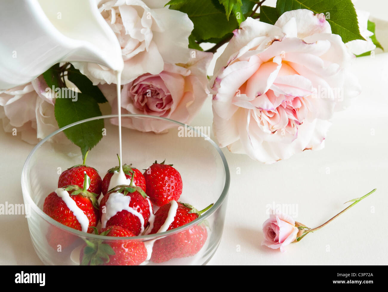 Erdbeeren und Sahne (gegossen) mit blass rosa Rosen hinter. Stockfoto