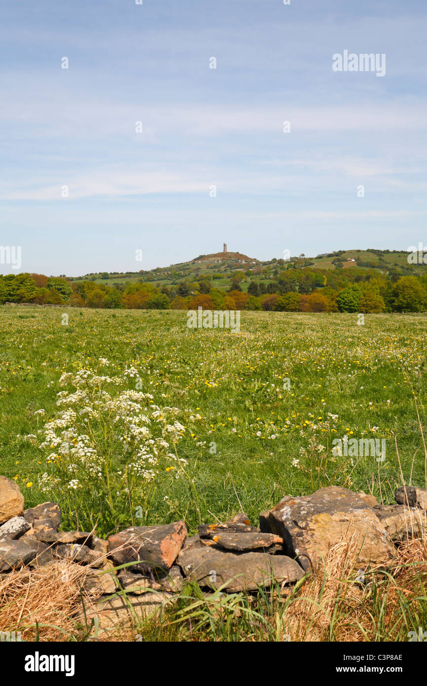 Sommerwiese mit entfernten Jubilee Tower am Burgberg, Almondbury, Huddersfield, West Yorkshire, England, UK. Stockfoto