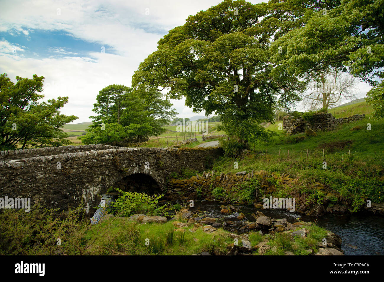 Eine alte Steinbrücke über einen Bach in CwmYstradllyn Snowdonia Cardigan Halbinsel Gwynedd North Wales UK Stockfoto