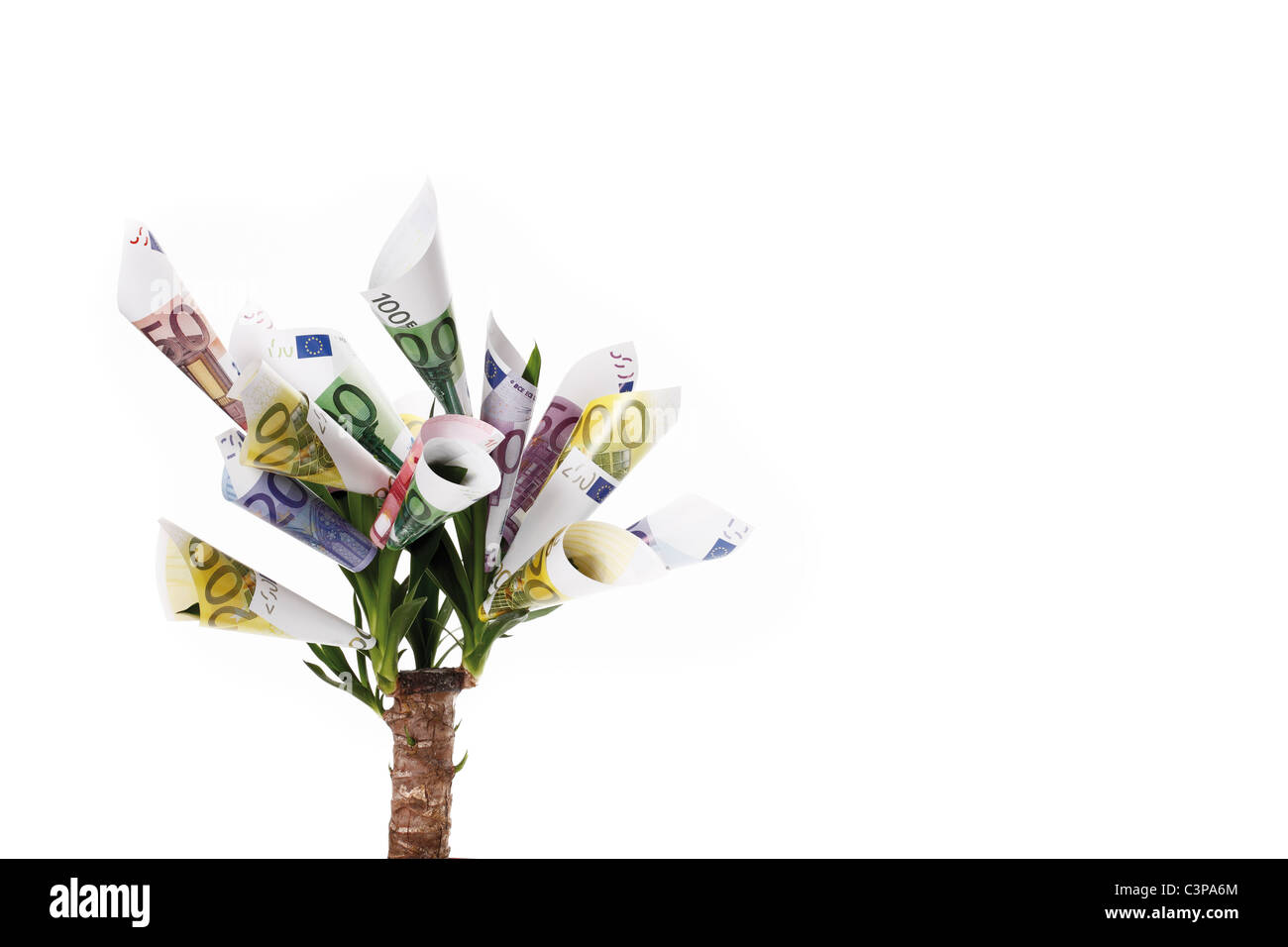 Pflanze mit Blüten von Euro-Banknoten vor weißem Hintergrund gemacht Stockfoto
