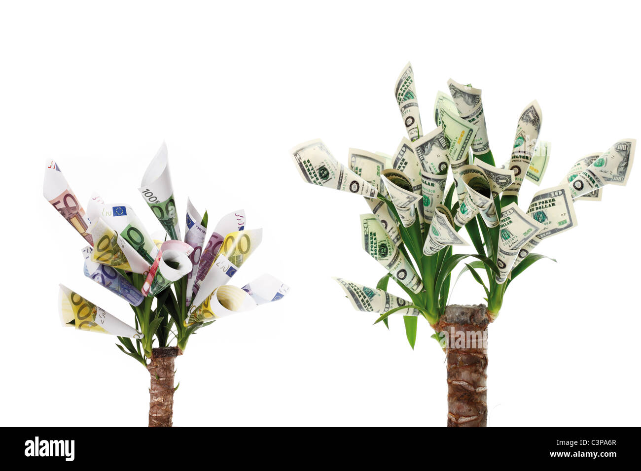 Pflanze mit Blüten hergestellt aus Euro und Dollar-Noten auf weißen Hintergrund Stockfoto