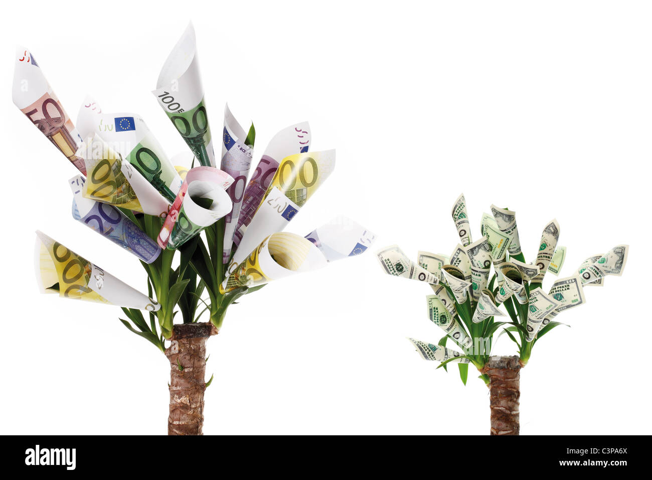Pflanze mit Blüten hergestellt aus Euro und Dollar-Noten auf weißen Hintergrund Stockfoto