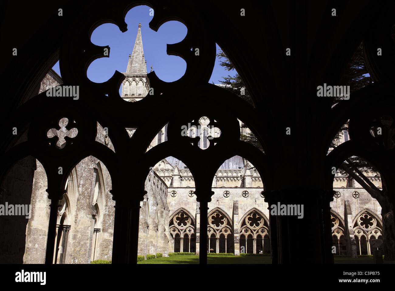 Kreuzgang der Kathedrale von Salisbury. Stockfoto