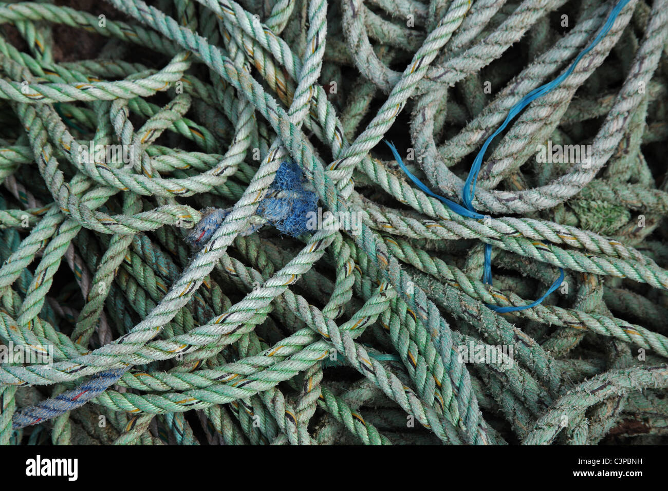 Ein Gewirr von Seilen, St. Ives, Cornwall Stockfoto