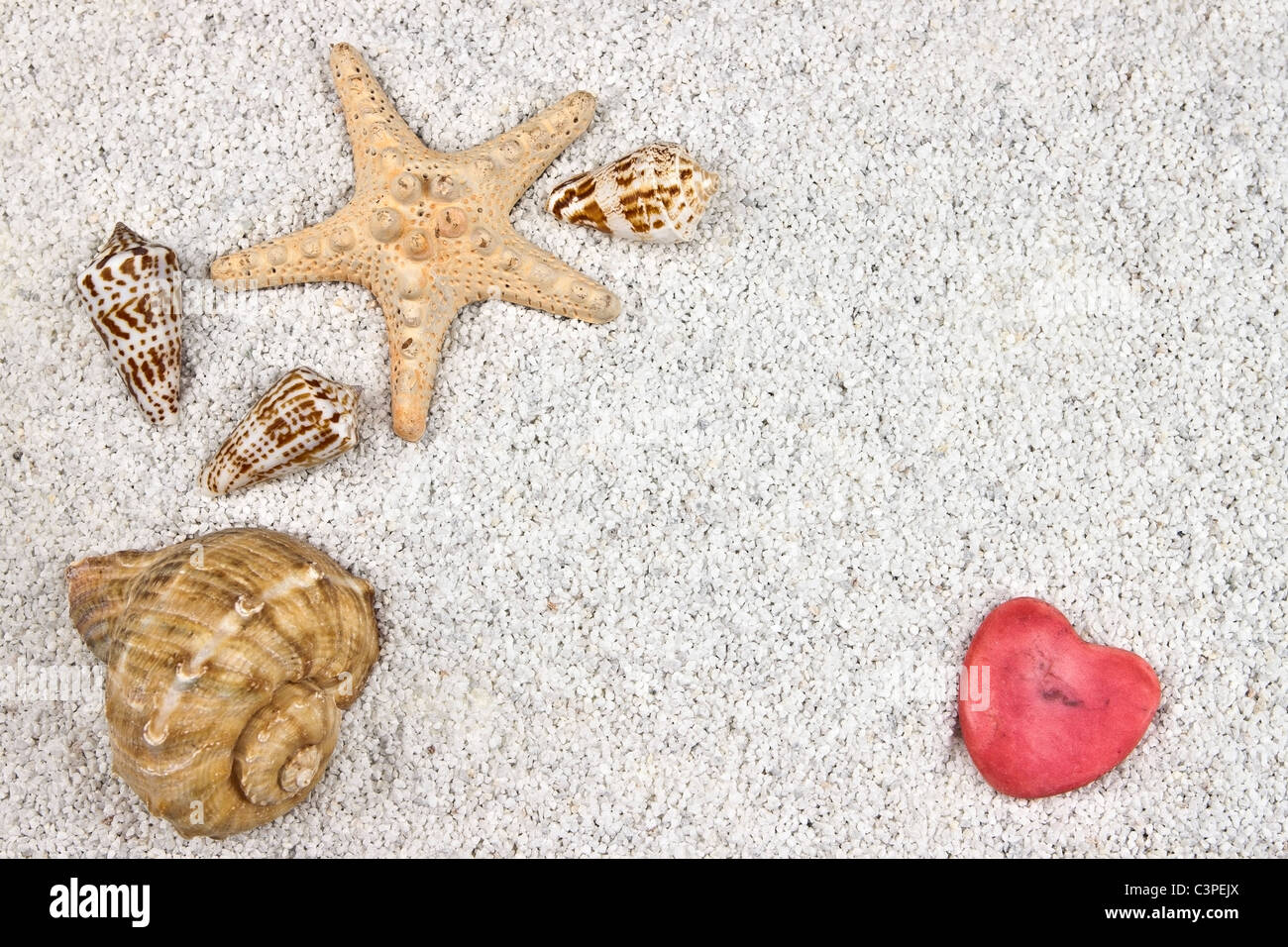ein Seastar und mehrere Muscheln im weißen Sand mit Herz Stockfoto