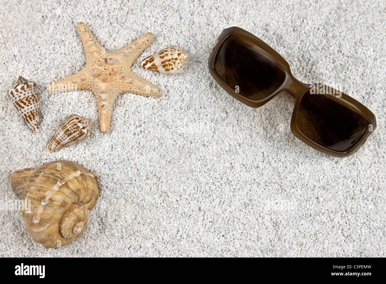 ein Seastar und mehrere Muscheln im weißen Sand mit Sonnenbrille Stockfoto