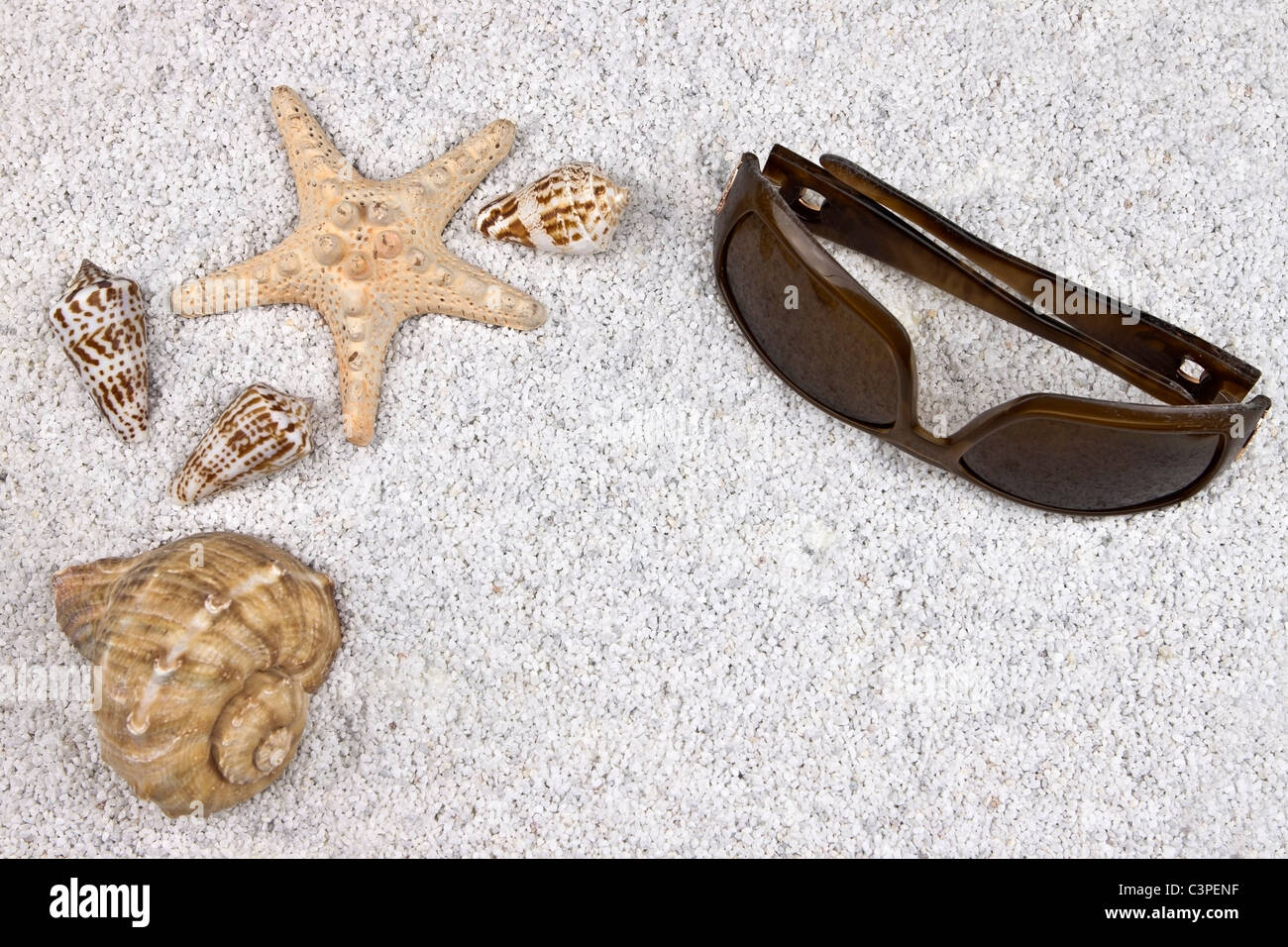 ein Seastar und mehrere Muscheln im weißen Sand mit Sonnenbrille Stockfoto