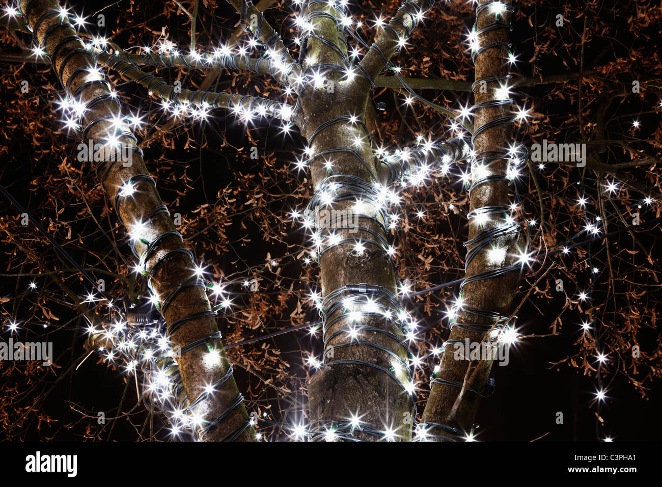 Deutschland, Hamburg, Weihnachtsbaum Lichter, niedrigen Winkel Ansicht Stockfoto