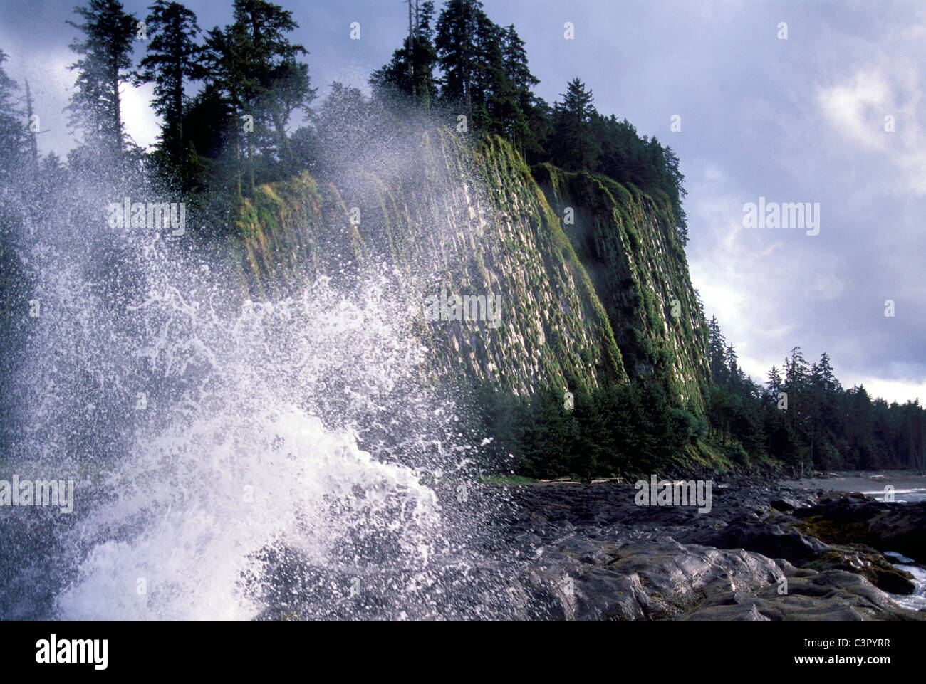 Haida Gwaii (Queen Charlotte Islands), Northern BC, Britisch-Kolumbien, Kanada - Tow Hill Naikoon Provincial Park, Graham Island Stockfoto