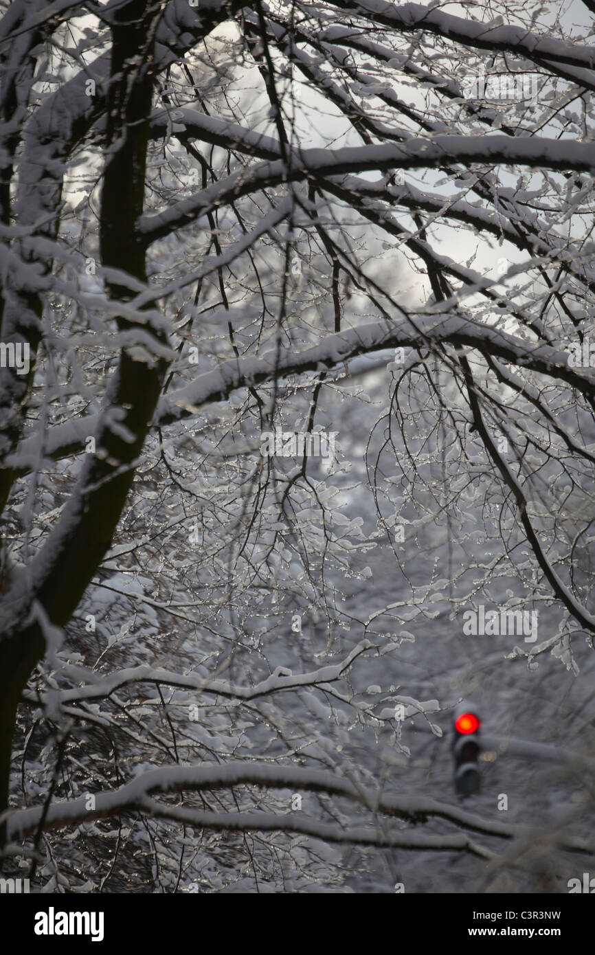 Rotlicht-Signal in der Mitte von Schnee bedeckt Äste. Stockfoto