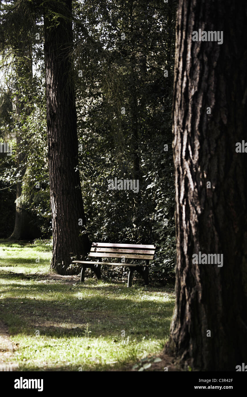 Deutschland, Hamburg, leere Parkbank im park Stockfoto