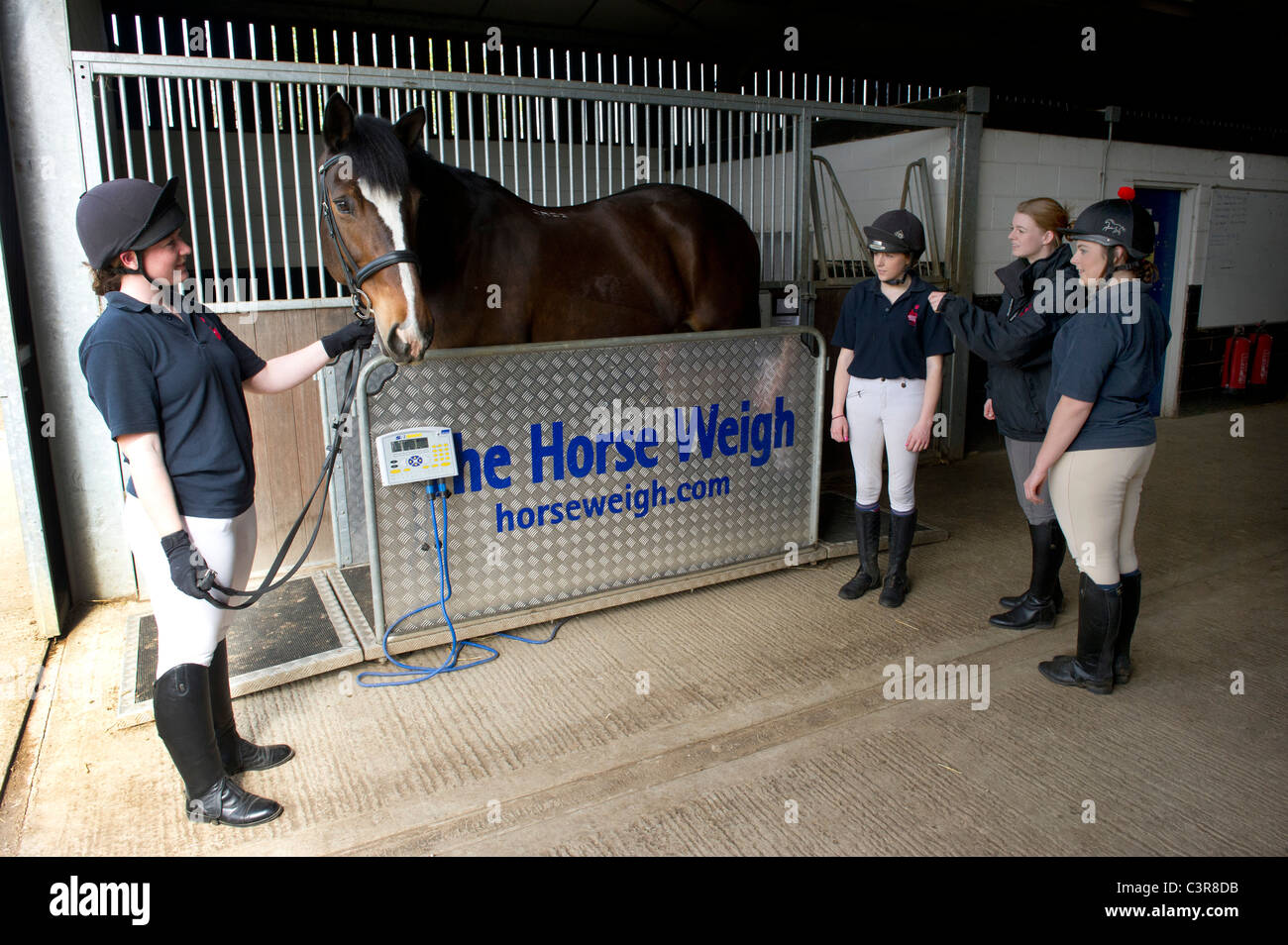 Berufsbildende Kurse sind eine weitere Möglichkeit in Arbeit, es Isn t alle akademischen auf dem Arbeitsmarkt Stockfoto
