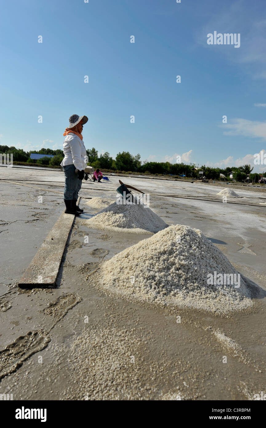 Salz Felder von Samut Sakhon Arbeiter ernten Salz, Samut Sakhon, Thailand Stockfoto