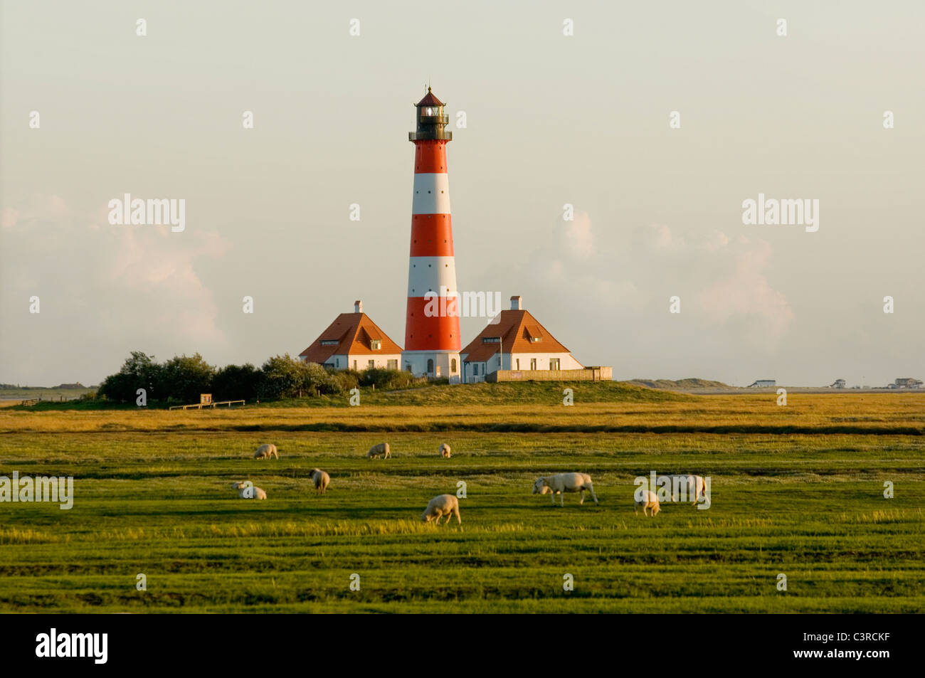 Deutschland, Schleswig-Holstein, Westerhever, Blick auf Leuchtturm und Herde Schafe weiden Stockfoto