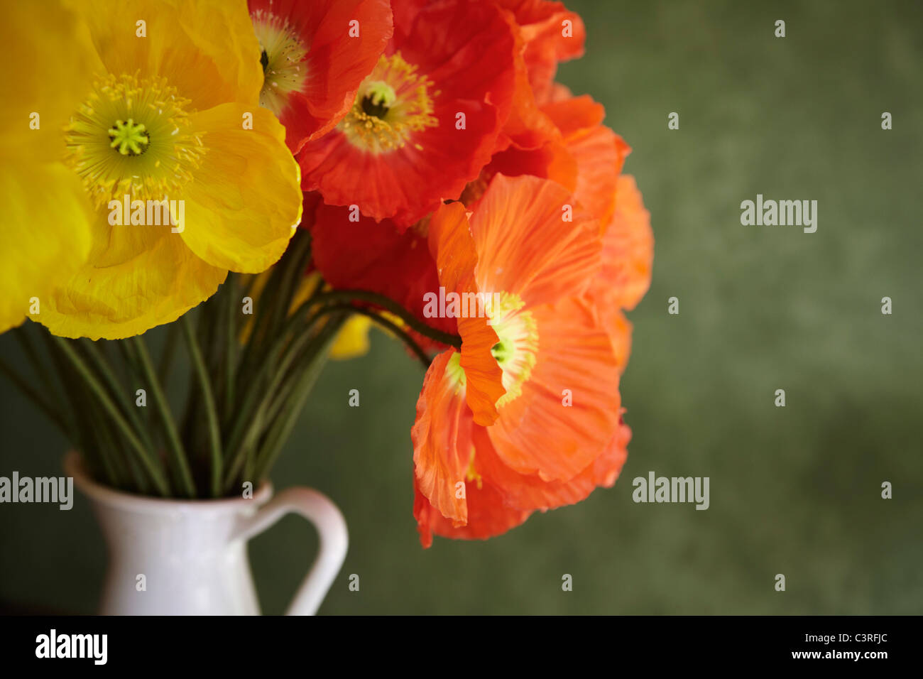 Hamburg, Nahaufnahme von roten und gelben Mohn in Vase Stockfoto