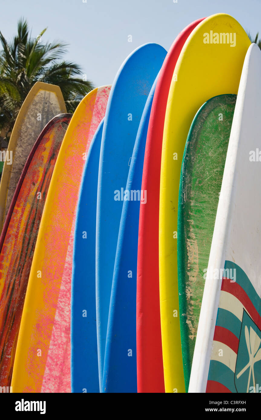 Eine Vielzahl von Longboard Surfbretter sind aufrecht mit einer Palme im Hintergrund in Sayulita, Mexiko gestapelt. Stockfoto