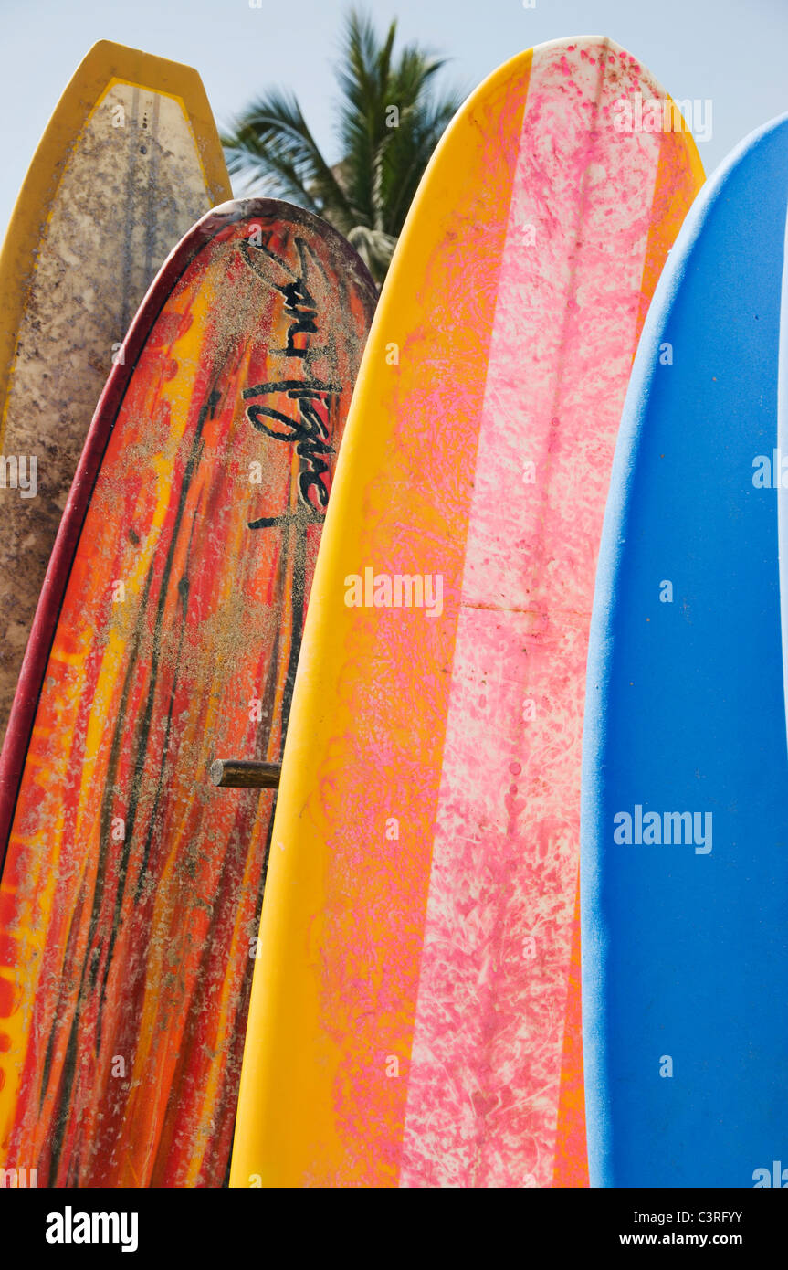 Vertikale Reihe von bunten Longboard Surfbretter in Sayulita, Mexiko. Stockfoto
