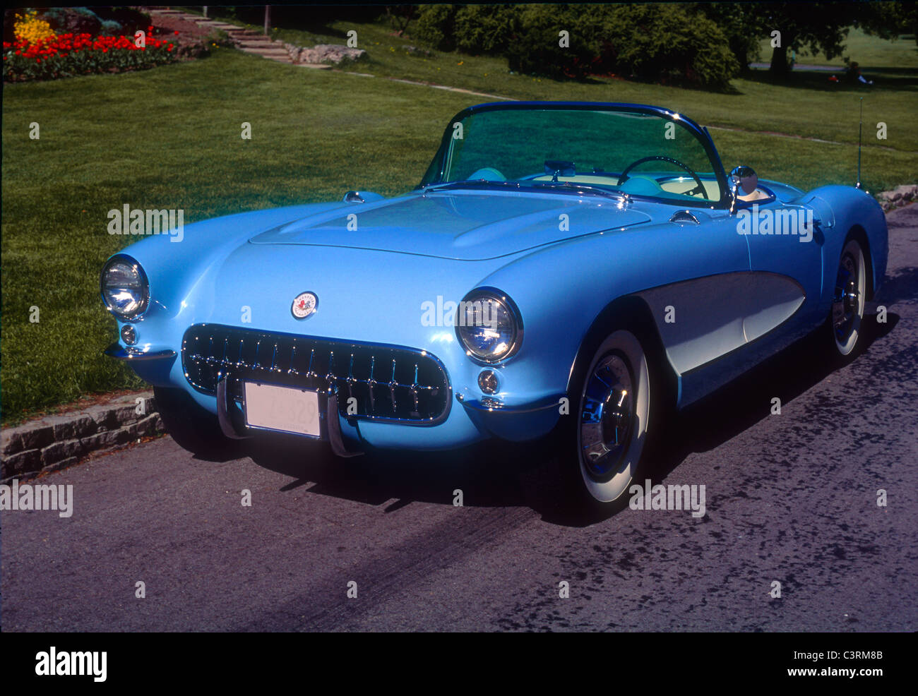 1956 Corvette Röster Stockfoto