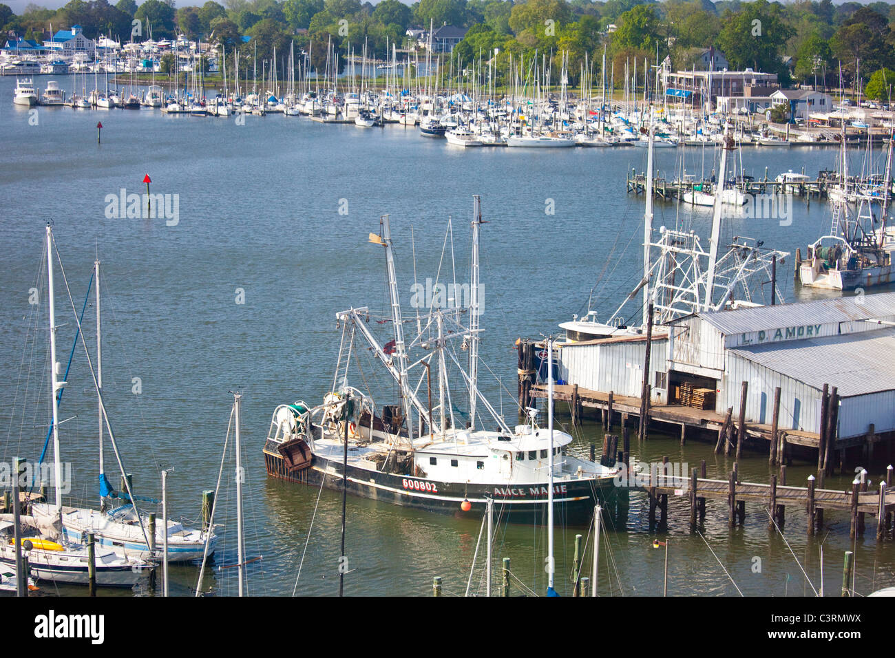 Krabben Sie-Boot im Dock in Hampton, Virginia Stockfoto