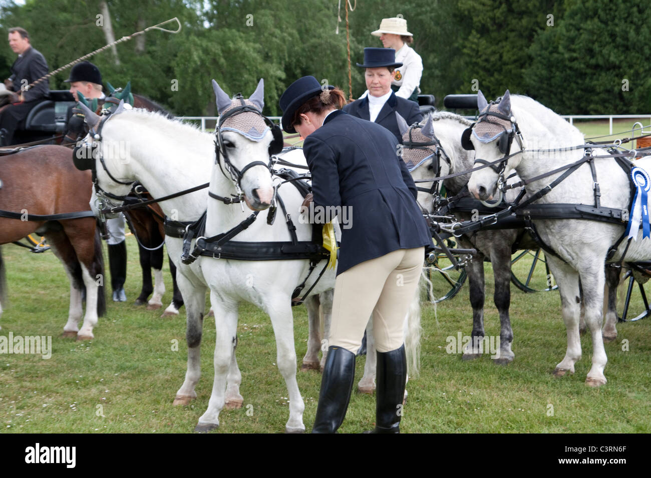 internationalen treibende Meisterschaft royal Windsor Horse show 2011 in England Großbritannien Stockfoto