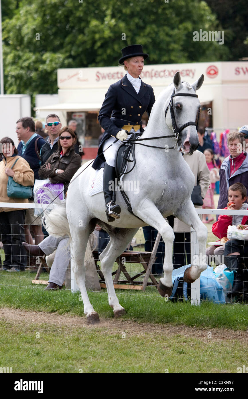 Royal Windsor Horse Show 2011-Bilder Stockfoto