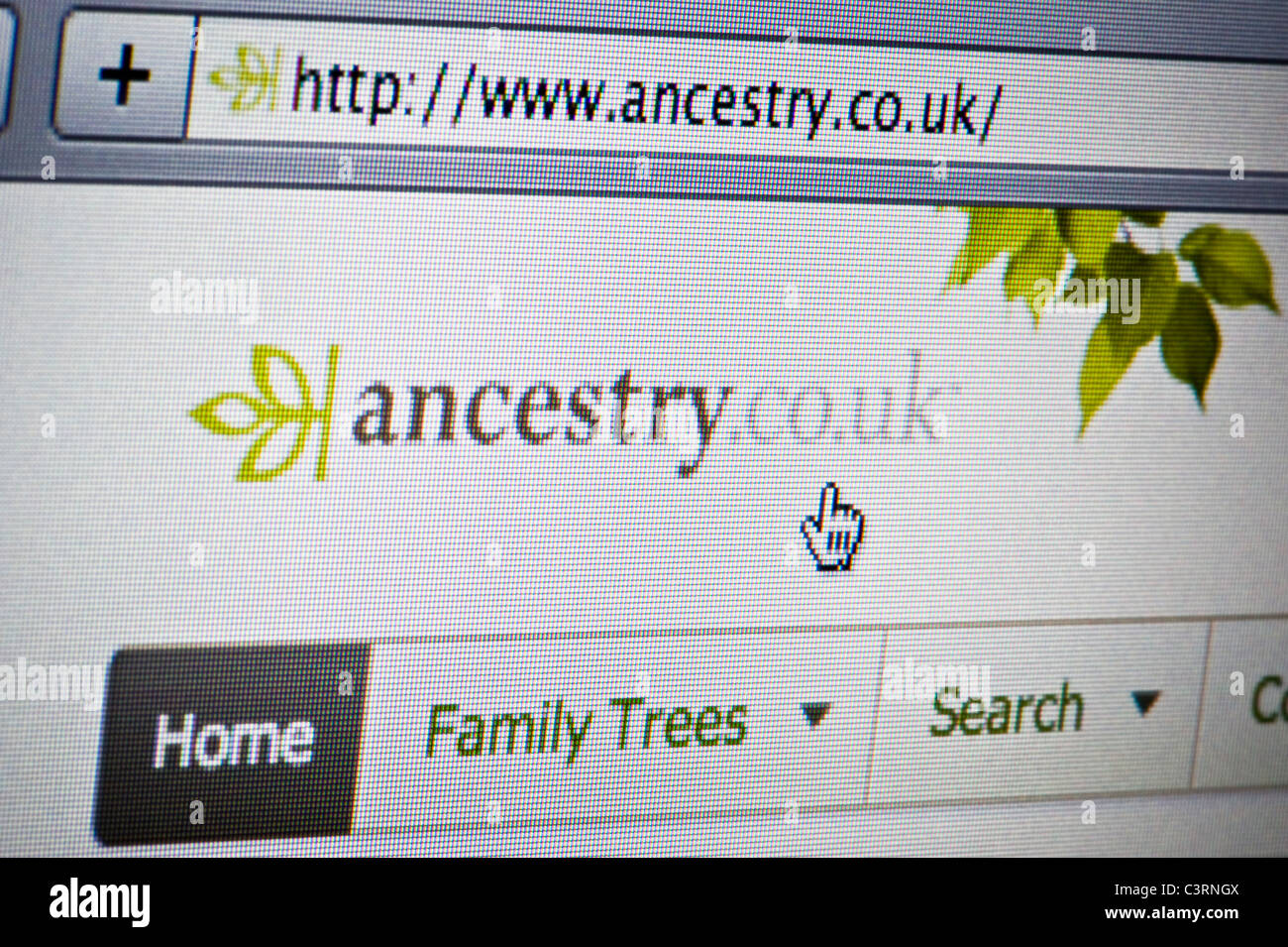 Nahaufnahme von Ancestry-Logo auf ihrer Website gesehen. (Nur zur redaktionellen Verwendung: print, TV, e-Book und redaktionelle Webseite). Stockfoto