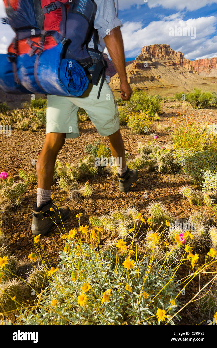 Schwarzer Mann Wandern im Canyon-Gebiet Stockfoto