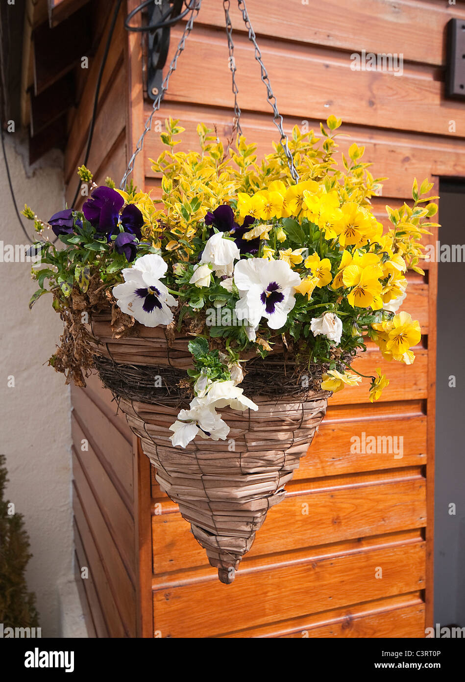 Hängenden Korb Stockfoto