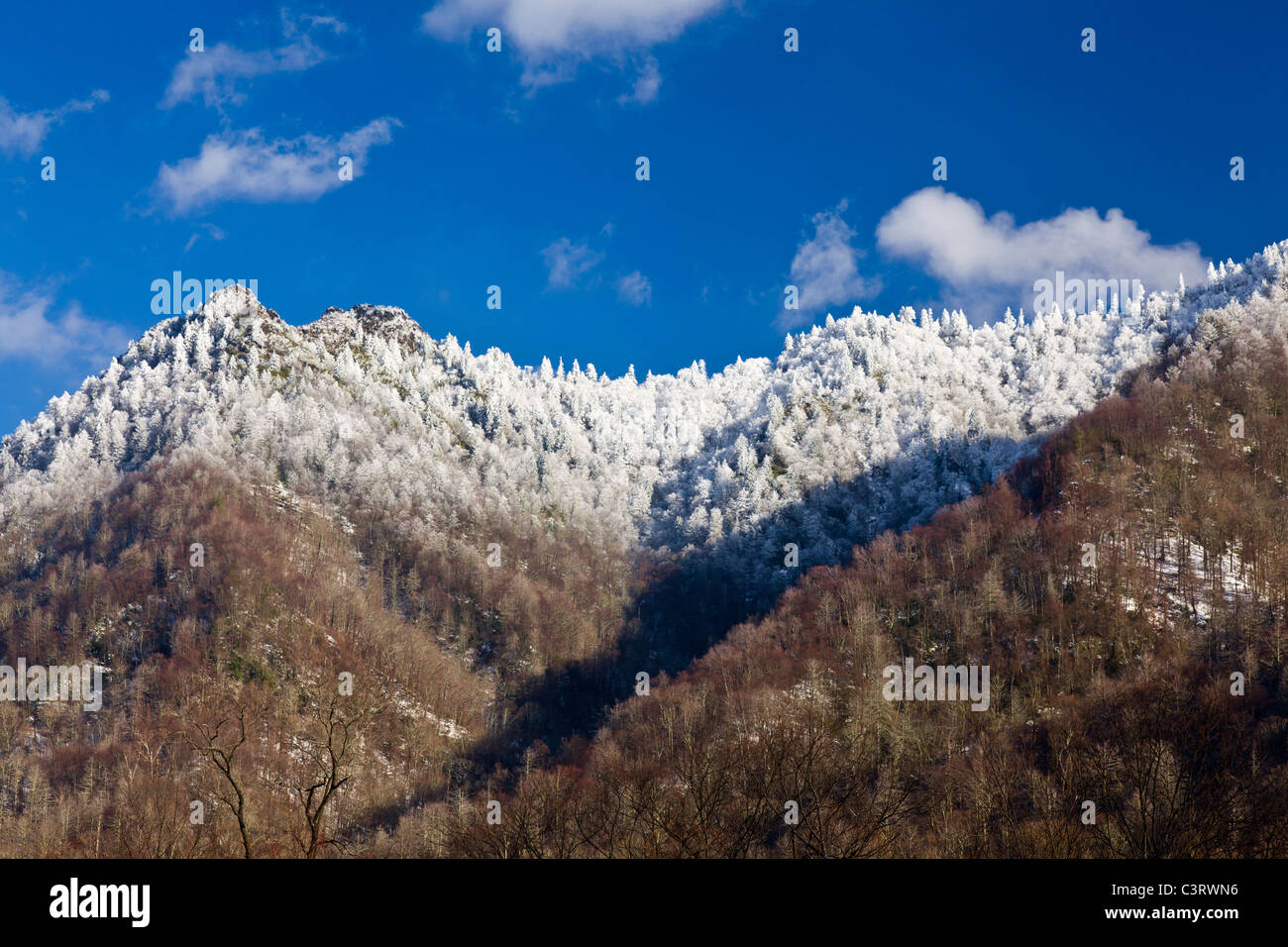 Great Smoky Mountains National Park, USA - Ansicht des Chimney Tops im Schnee Stockfoto