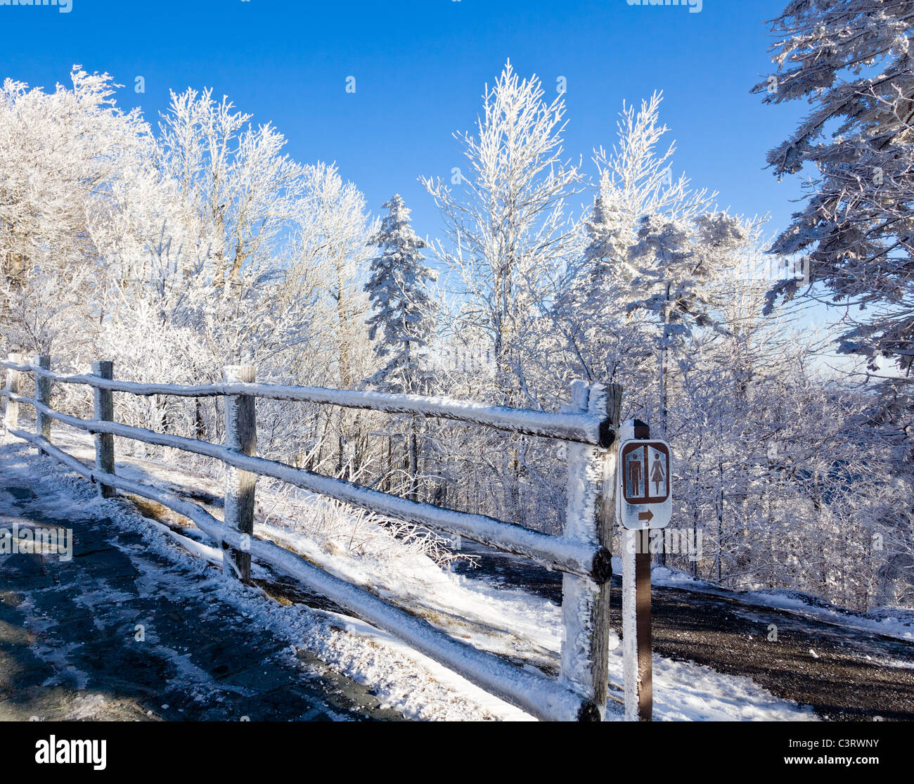 Winterlandschaft-Szene - Great Smoky Mountains National Park, USA Stockfoto