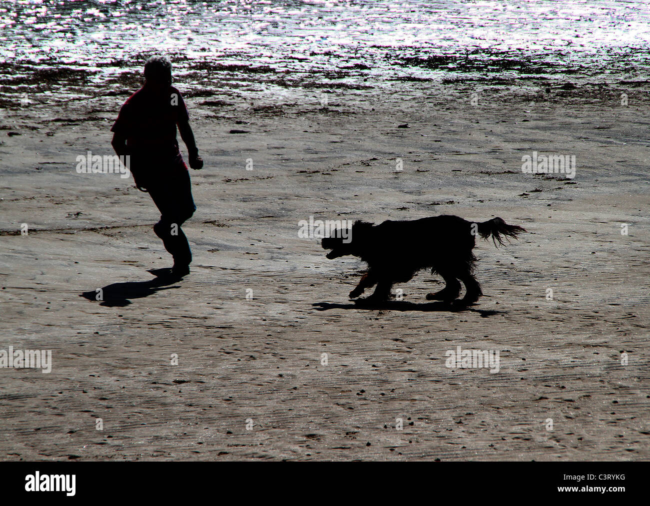 Mann mit Hund am Strand spielen. Stockfoto