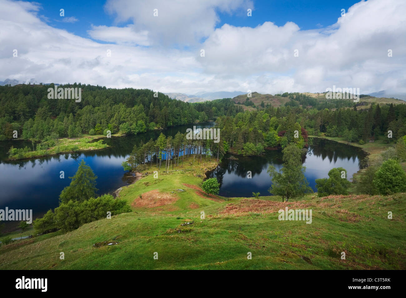 Tarn Hows. Lake District National Park. Cumbria. England. VEREINIGTES KÖNIGREICH. Stockfoto