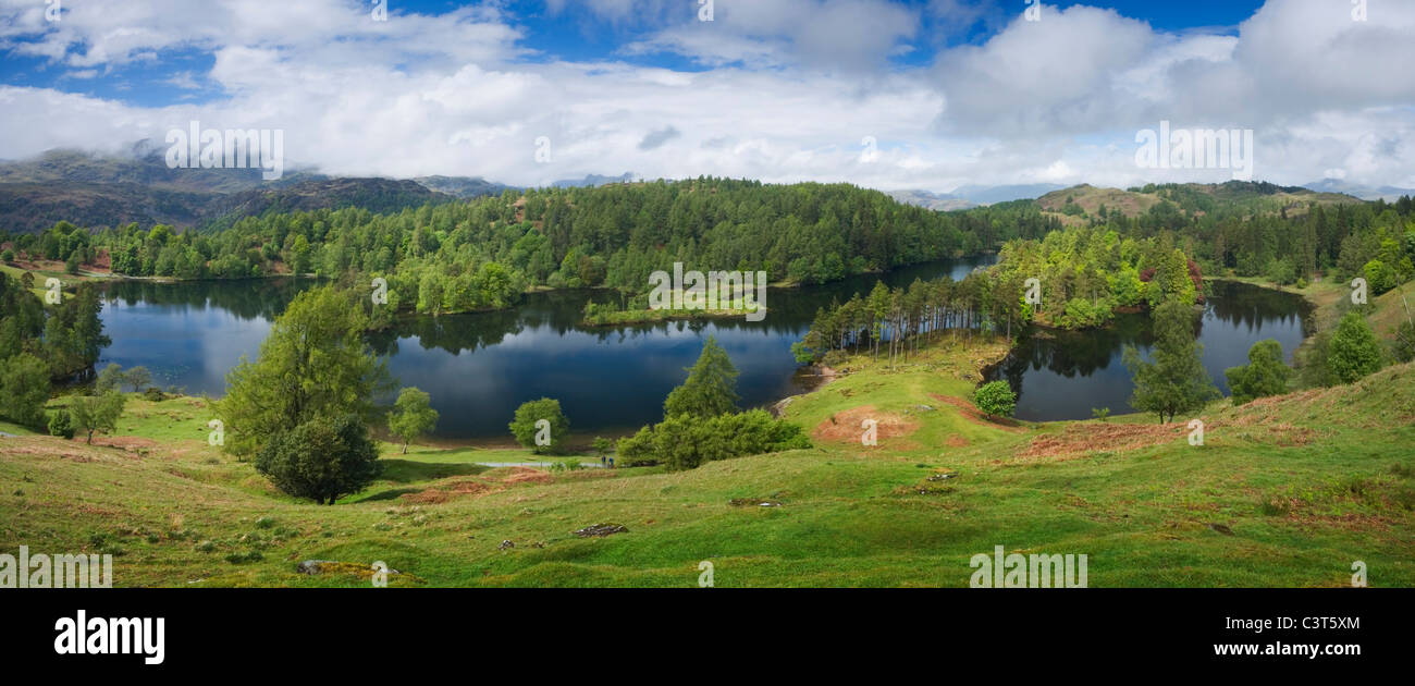 Tarn Hows. Lake District National Park. Cumbria. England. VEREINIGTES KÖNIGREICH. Stockfoto