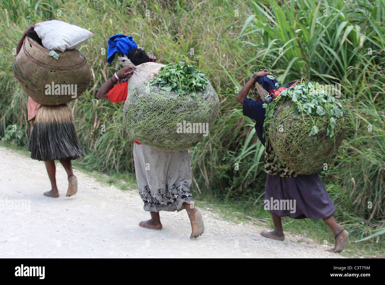 Frauen von Papua-Neu-Guinea, die Süßkartoffel Laub für ihre Schweine. Stockfoto