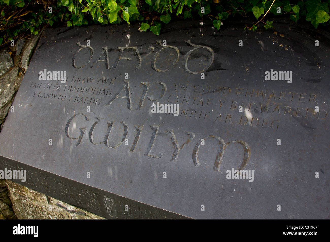 Dafydd ap Gwilym Gedenkstein Stockfoto