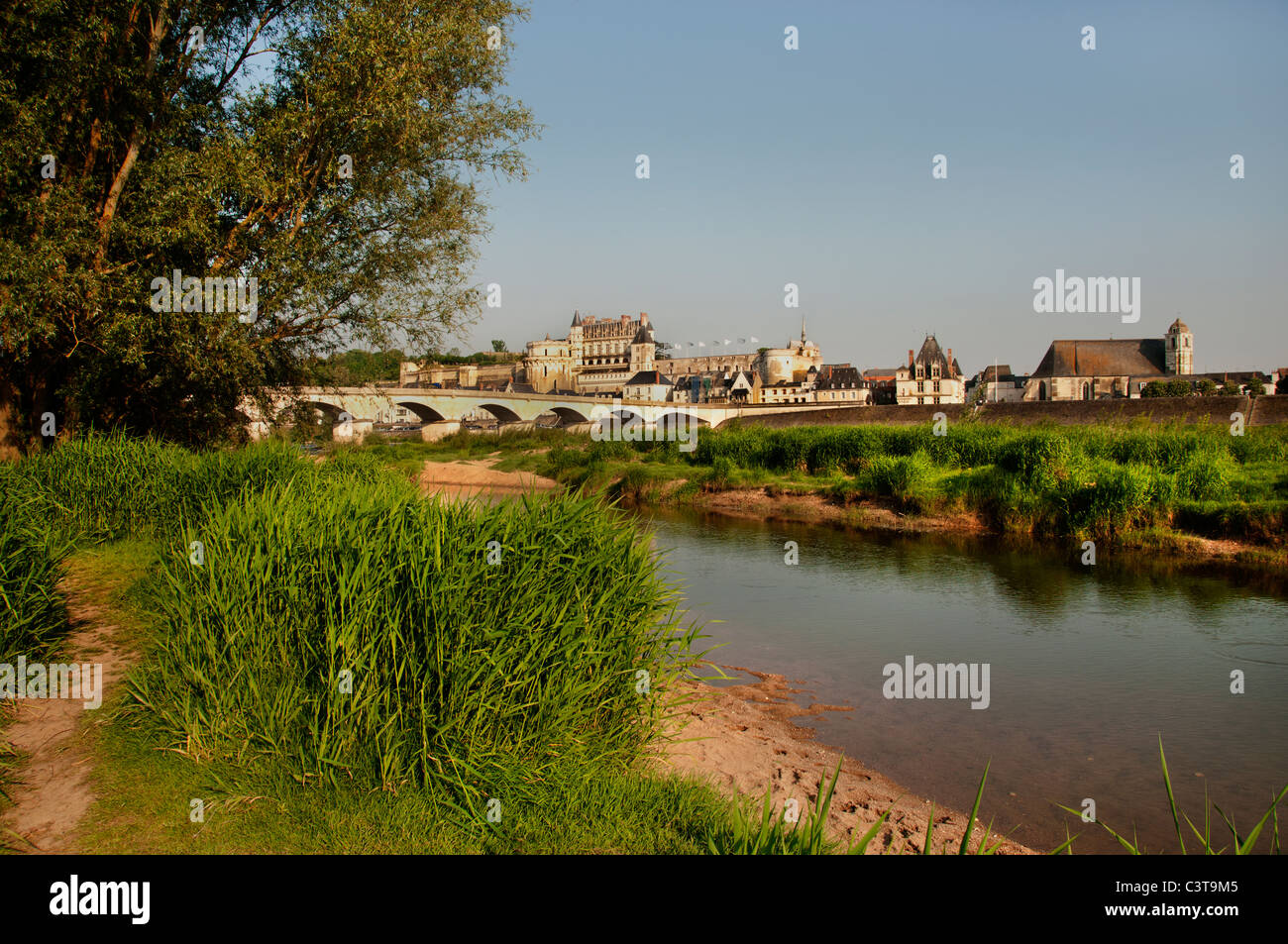 Frankreich Französisch Chateau Amboise Fluss Loire Schloss Stockfoto