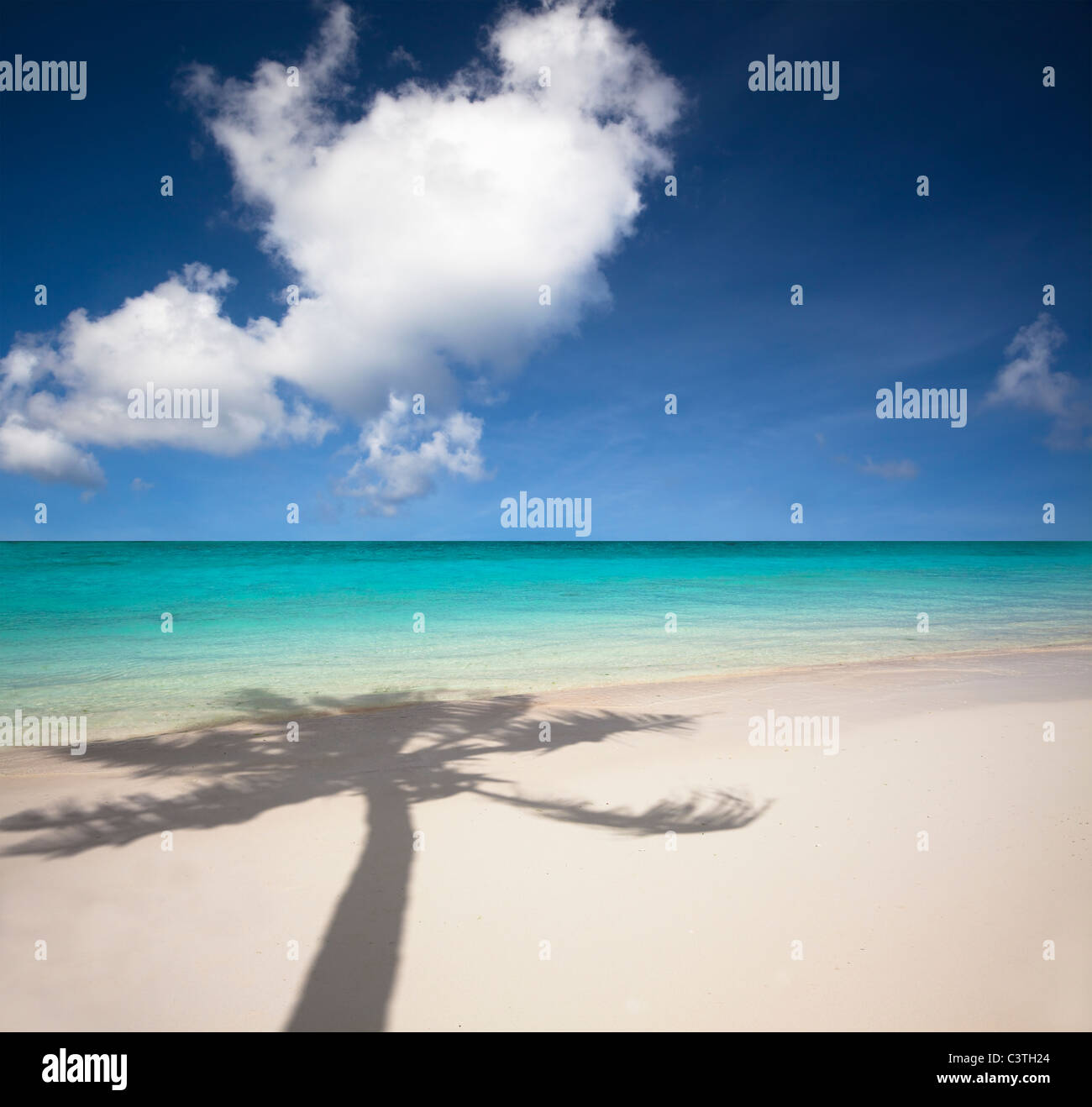 schönen weißen Sandstrand und Palmen Baum Schatten Stockfoto