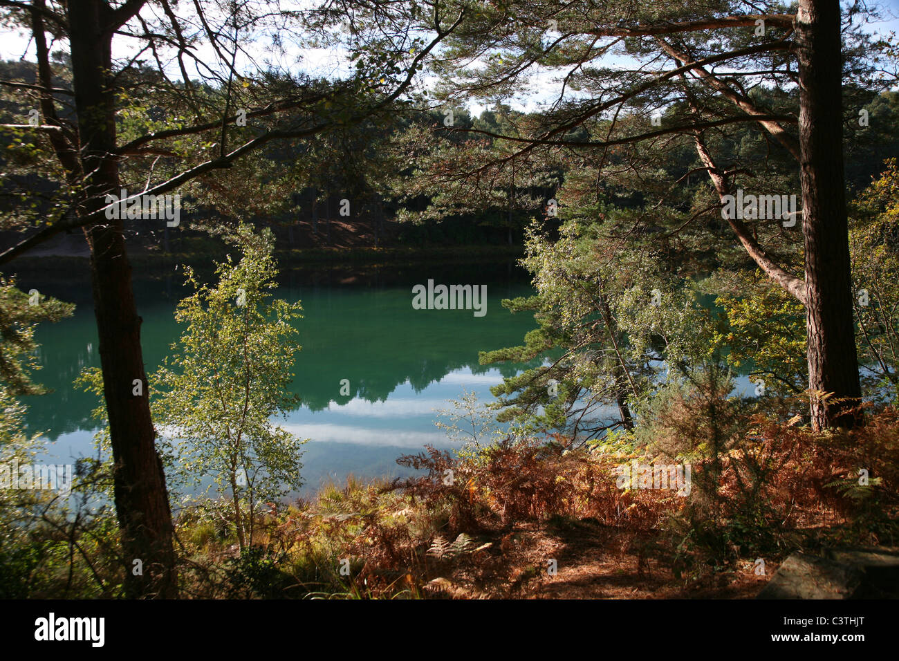 Blauen Pool - bunten See in der Furzebrook Siedlung an Stelle des stillgelegten Lehmgrube nahe dem Dorf von Corfe Castle Stockfoto