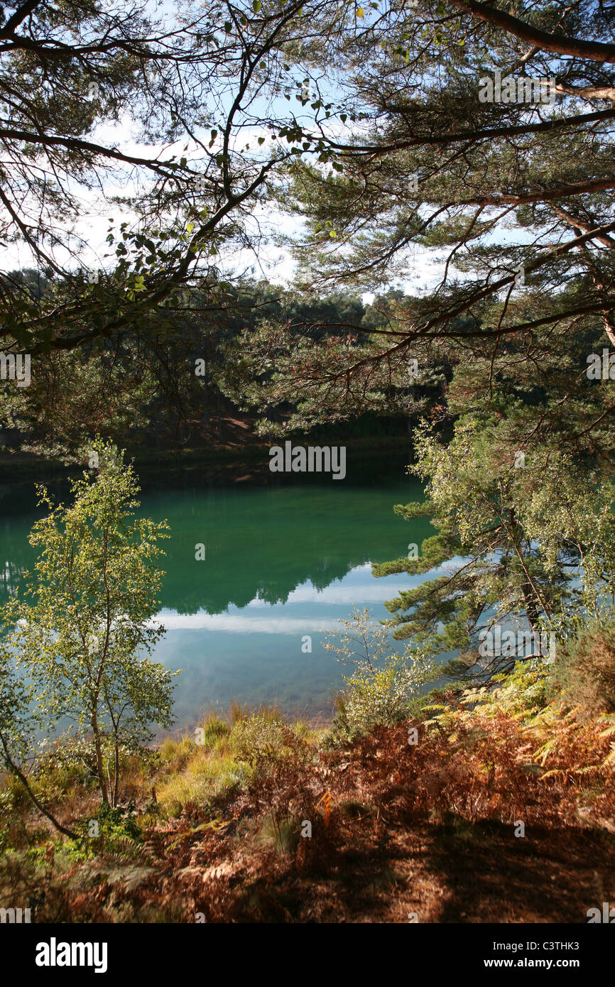 Blauen Pool - bunten See in der Furzebrook Siedlung an Stelle des stillgelegten Lehmgrube nahe dem Dorf von Corfe Castle Stockfoto