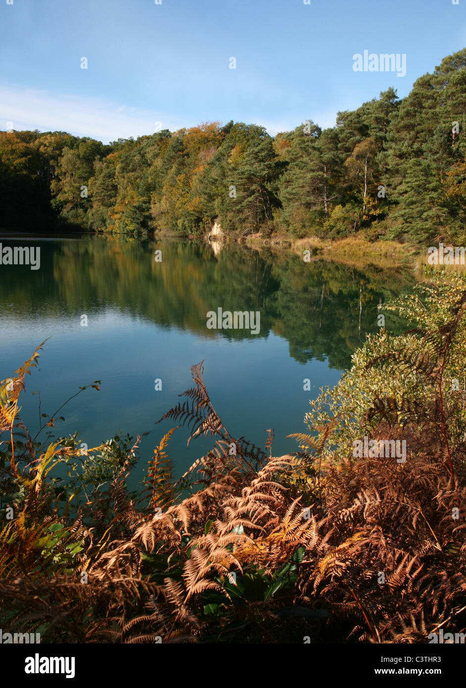 Blauen Pool - bunten See in der Furzebrook Siedlung an Stelle des stillgelegten Lehmgrube nahe dem Dorf von Corfe Castle Stockfoto