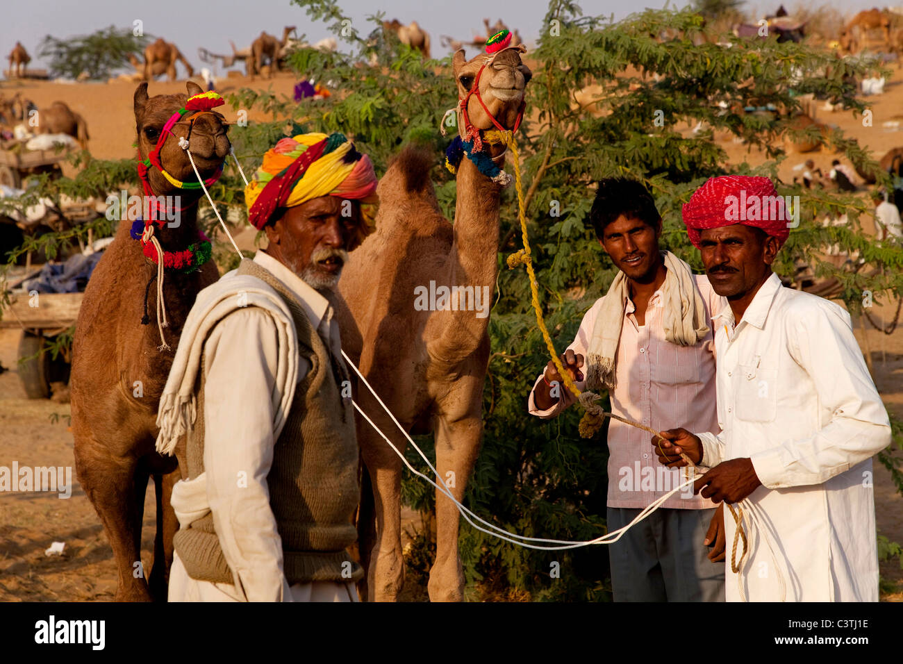 Indianer und das tägliche Leben während der jährlichen Kamel Messe in Pushkar, Rajasthan, Indien, Asien Stockfoto