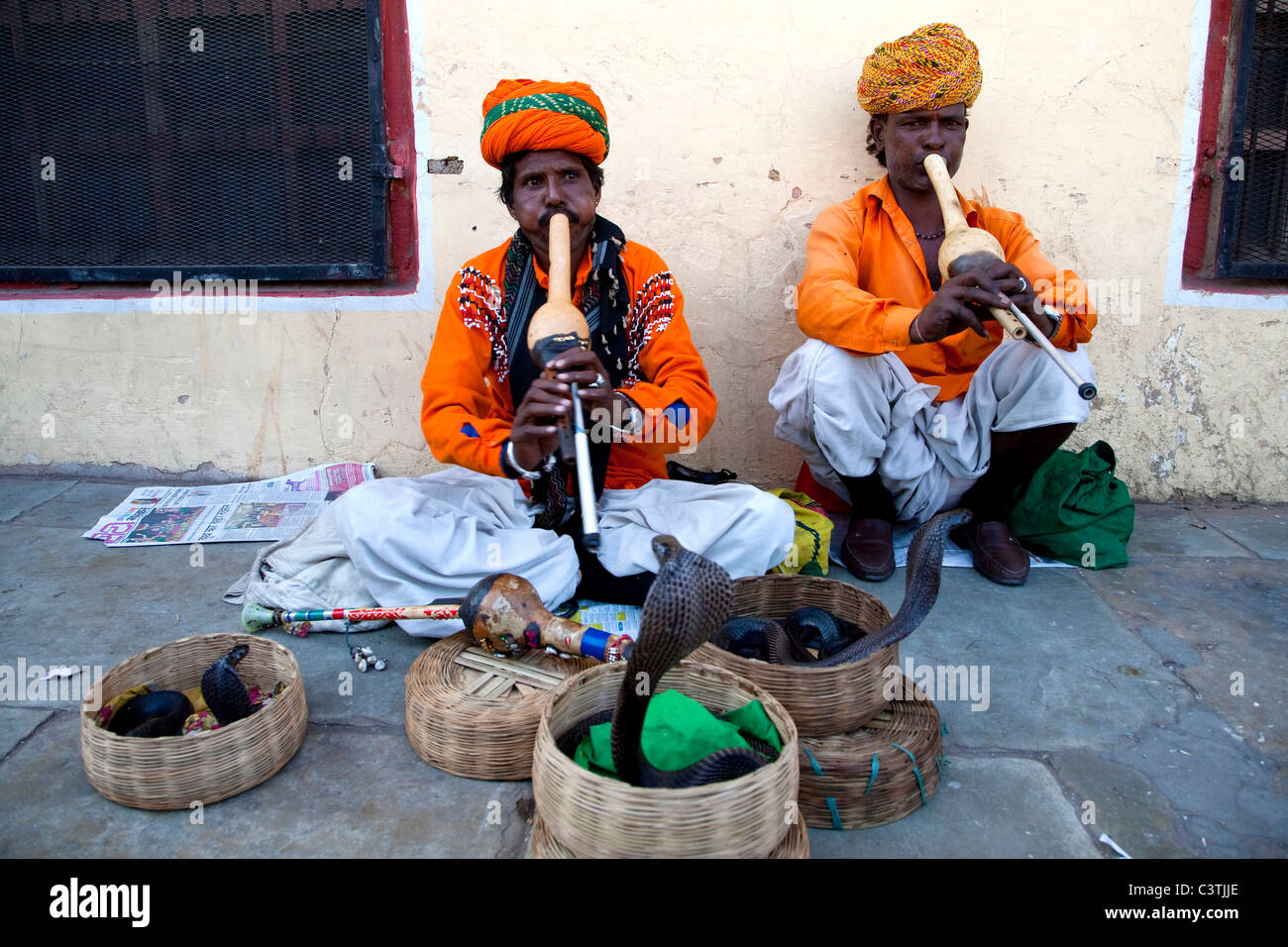 Schlangenbeschwörer, Jaipur, Rajasthan, Indien, Asien Stockfoto