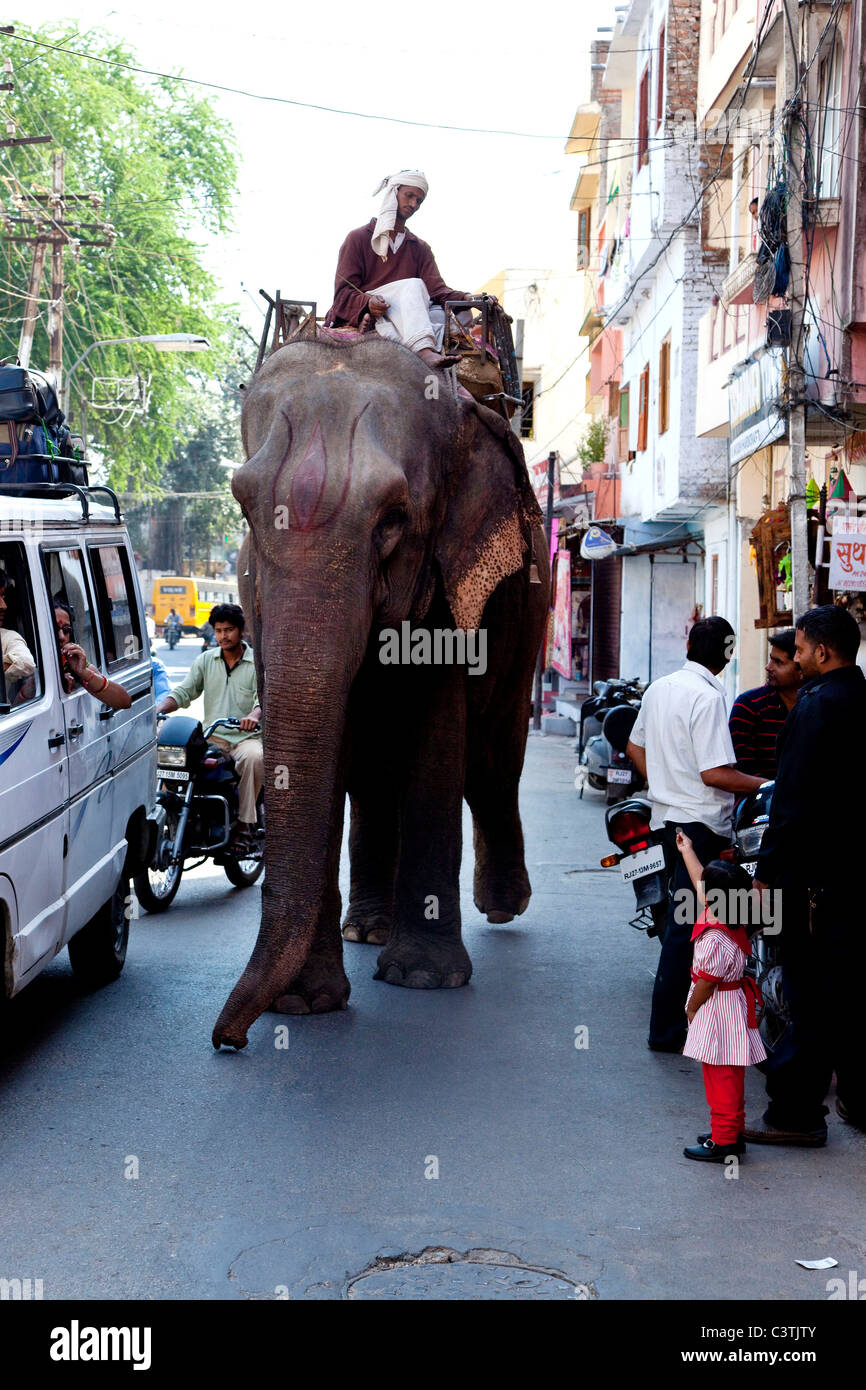 kleine Mädchen geben Geld bieten, Elefanten in Stadtstraße, Udaipur, Rajasthan, Indien, Asien Stockfoto