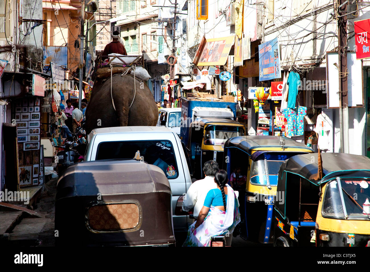 Elefant in Stadt Straße und Verkehr, Udaipur, Rajasthan, Indien, Asien Stockfoto