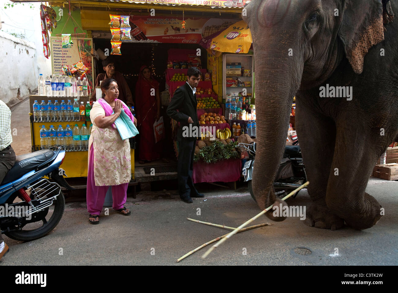 Udaipur, Rajasthan, Indien, Asien Stockfoto
