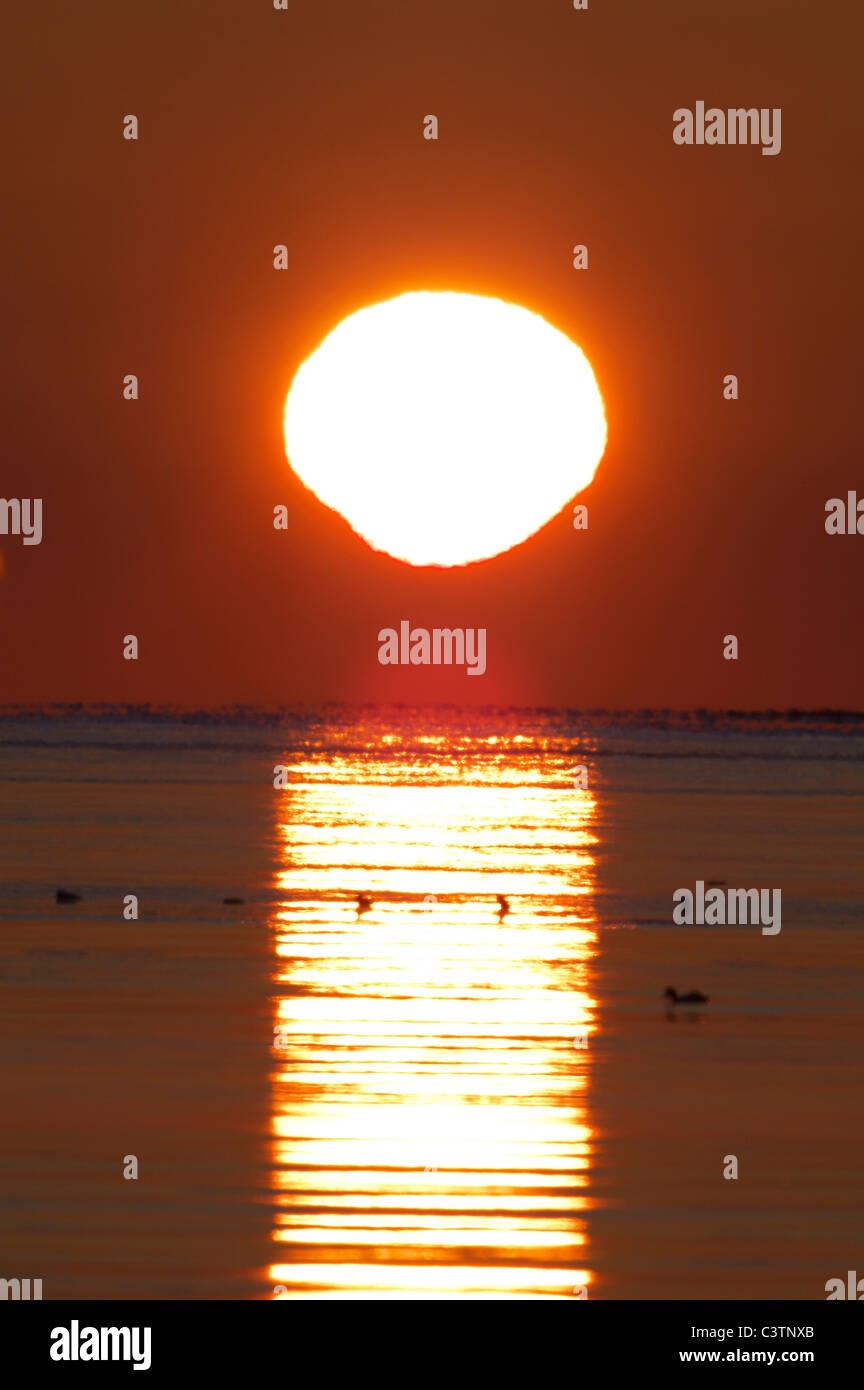 Sonnenaufgang über Meer Stockfoto