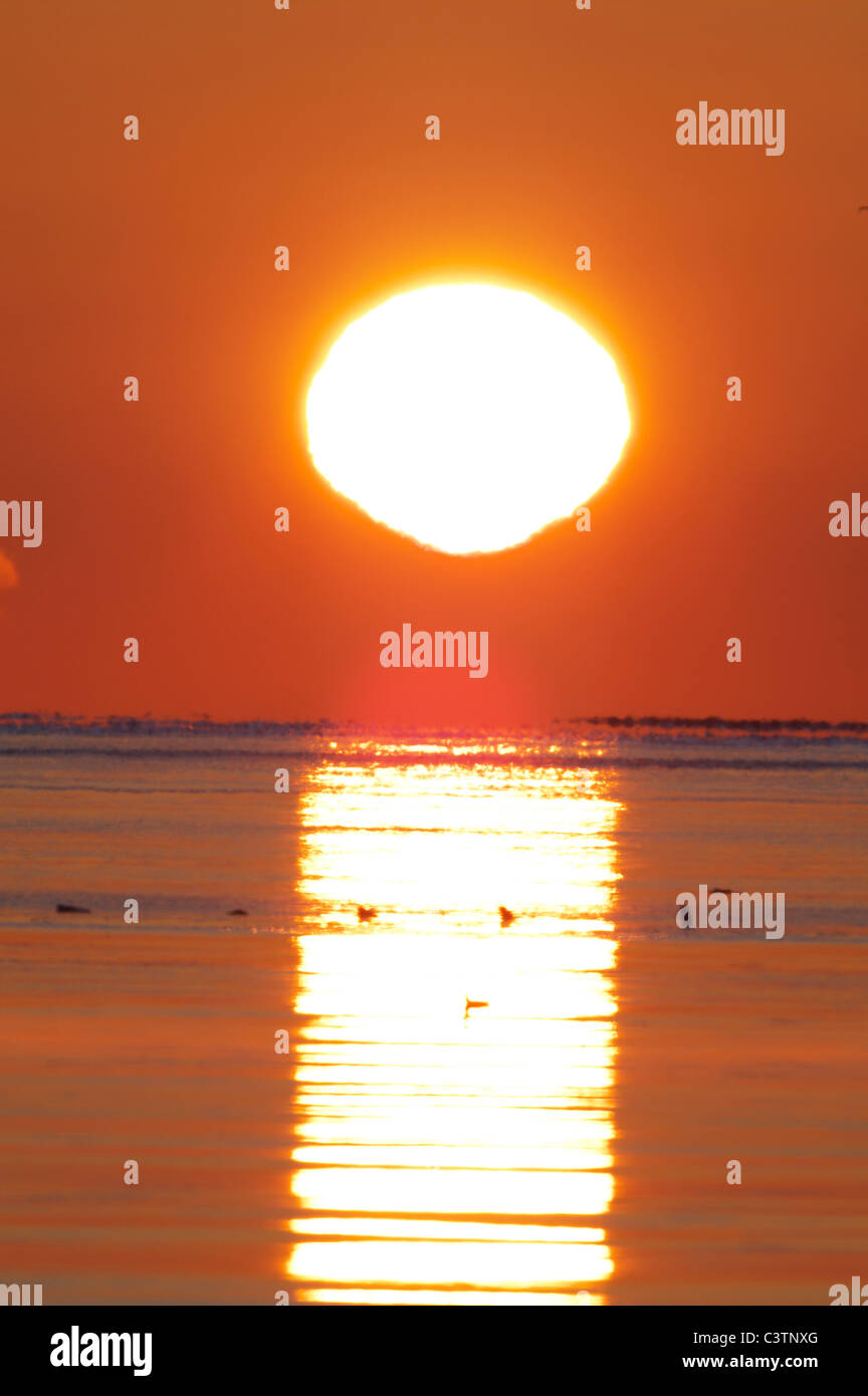 Sonnenaufgang über Meer Stockfoto