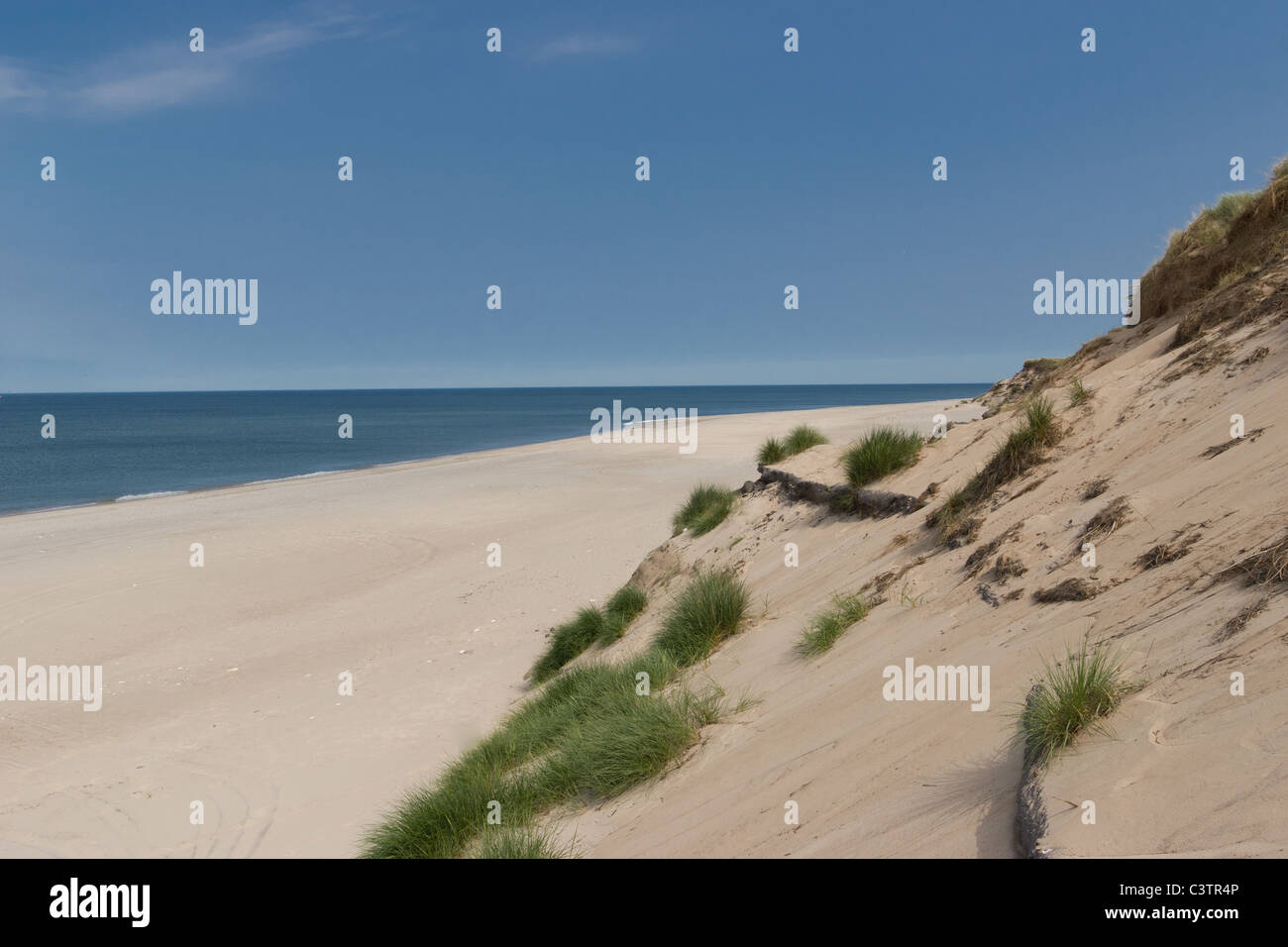 Leerer Strand in Agger, Jütland, Dänemark mit Wiesen und Dünen Stockfoto